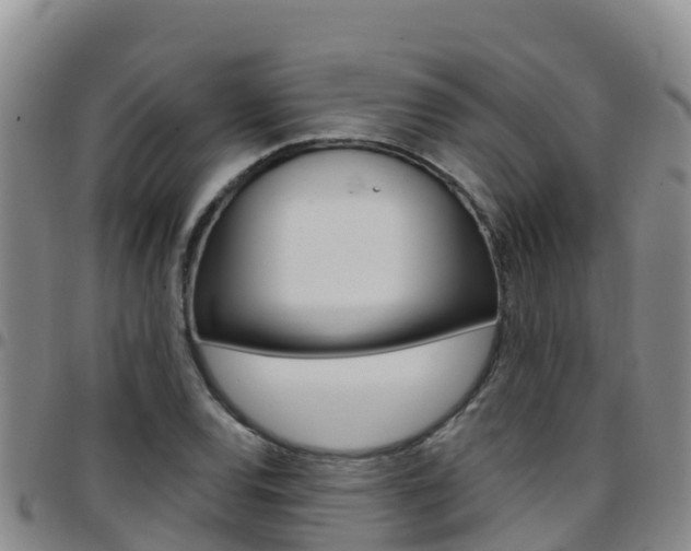 X0000097891120200803140959