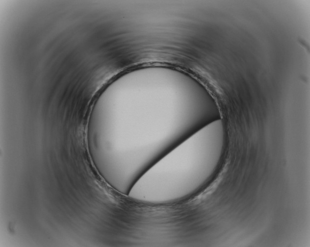X0000097891121200803140959