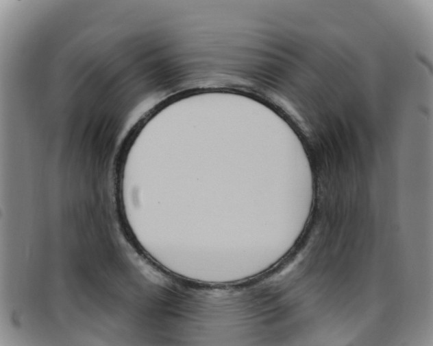 X0000097891122200803140959