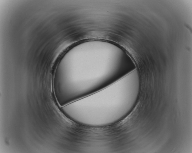 X0000097891123200803140959
