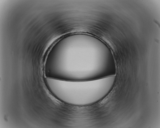 X0000097891124200803140959