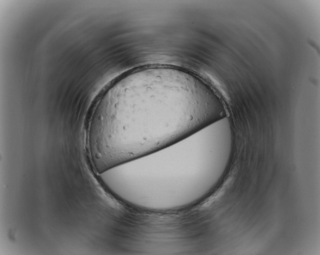 X0000097891125200803140959