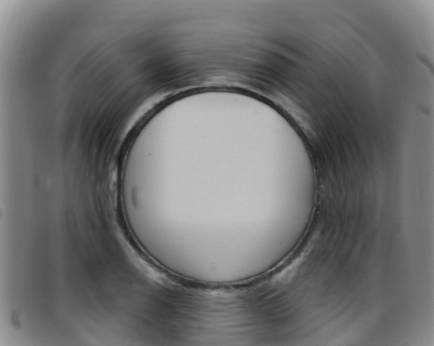 X0000097891126200803140959