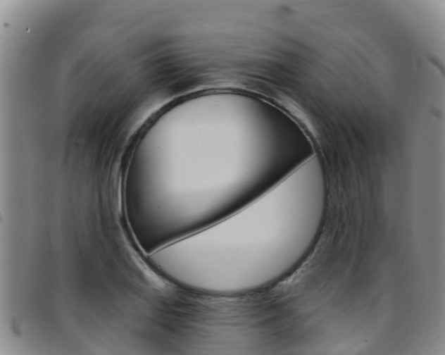 X0000097891127200803140959
