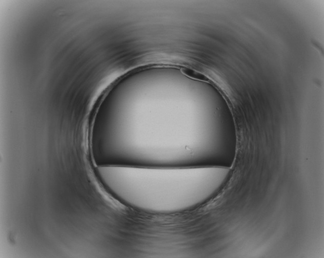 X0000097891128200803140959