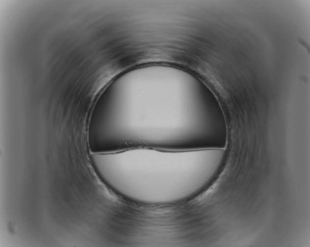 X0000097891129200803140959