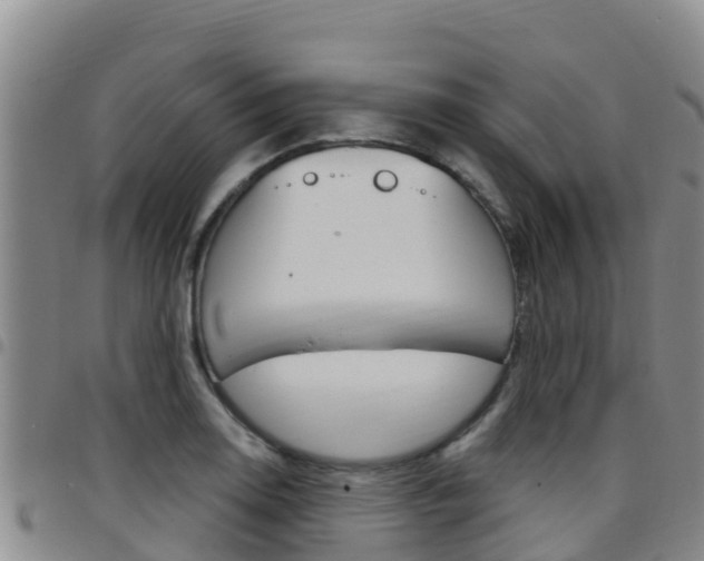 X0000097891130200803140959