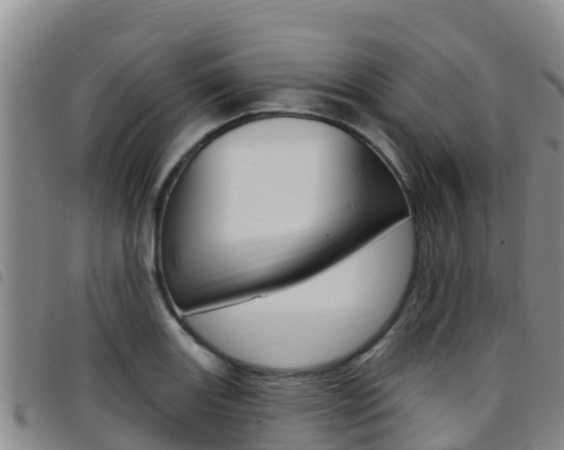 X0000097891131200803140959