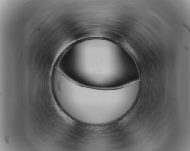 X0000097891132200803140959