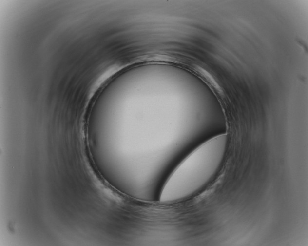 X0000097891133200803140959