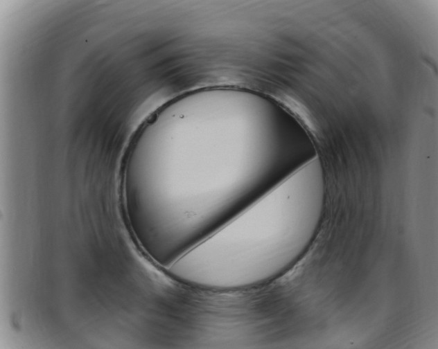 X0000097891135200803140959