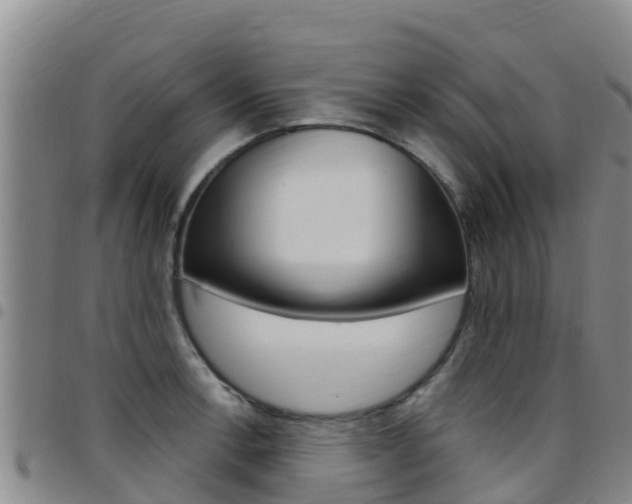 X0000097891138200803140959