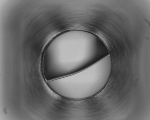 X0000097891139200803140959