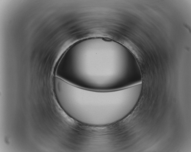 X0000097891140200803140959