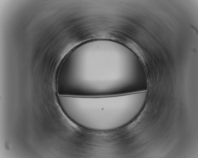 X0000097891141200803140959