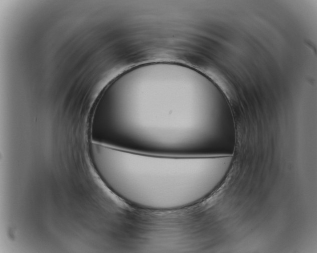 X0000097891142200803140959