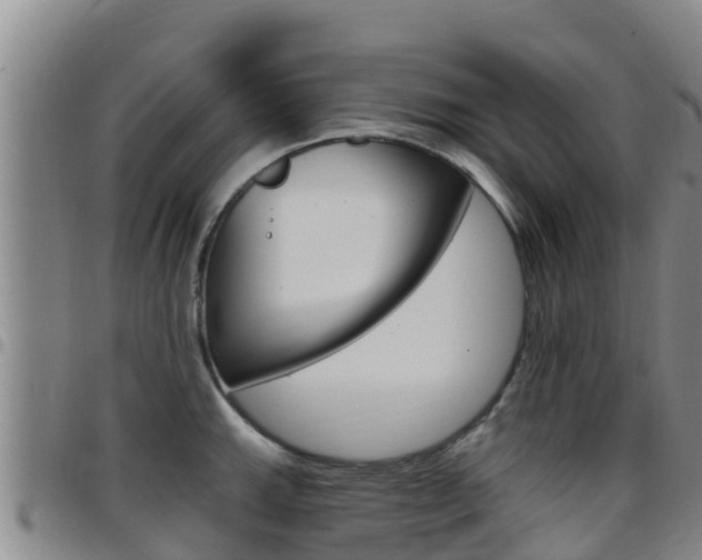 X0000097891143200803140959