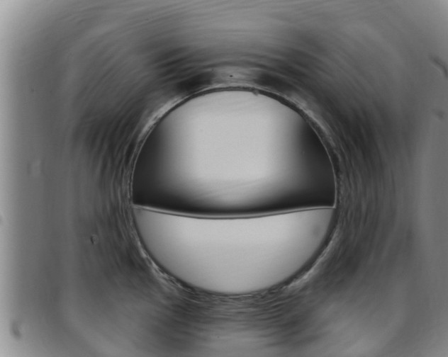 X0000097891145200803140959