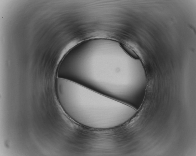X0000097891146200803140959