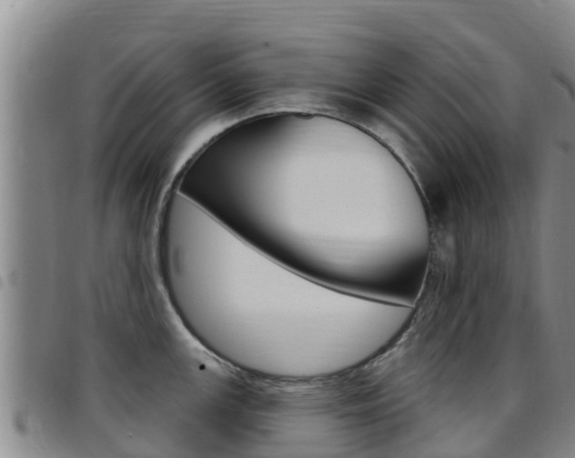 X0000097891147200803140959