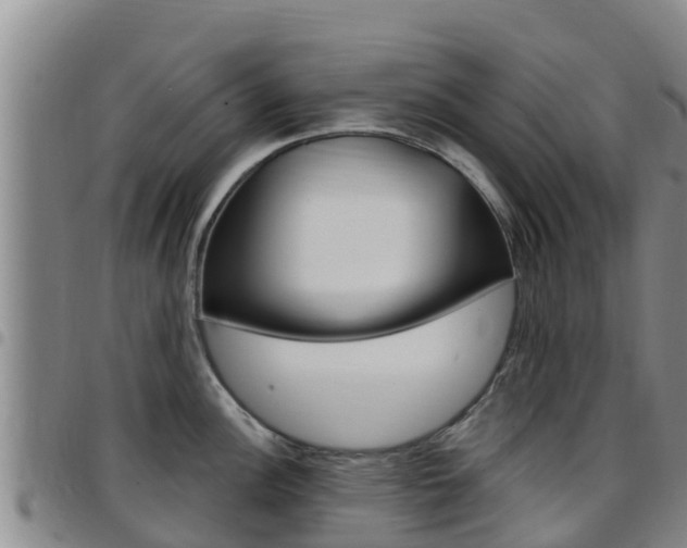 X0000097891148200803140959