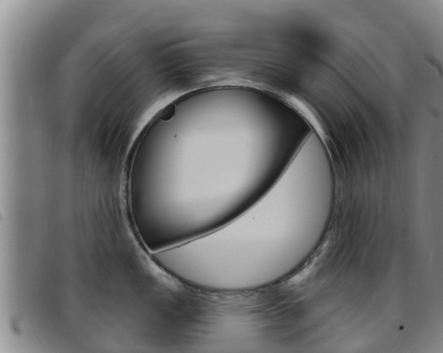 X0000097891149200803140959