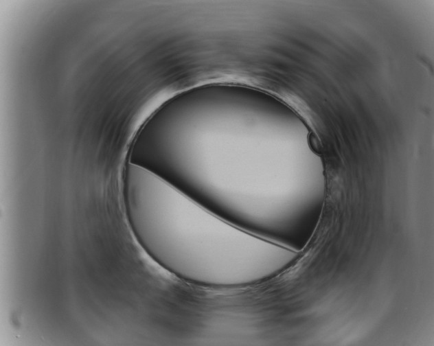 X0000097891151200803140959