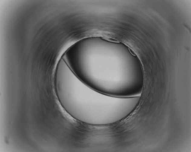 X0000097891152200803140959