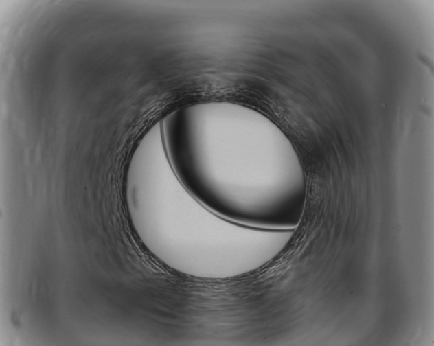 X0000097891153200803140958