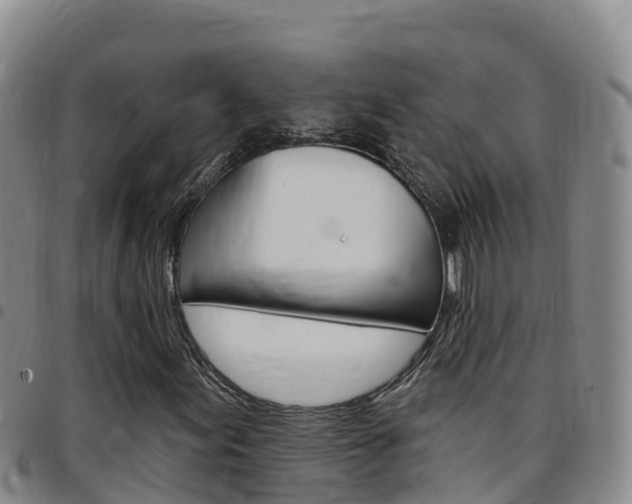 X0000097891155200803140958