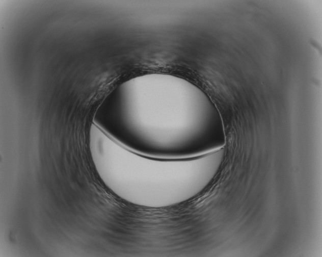 X0000097891156200803140958