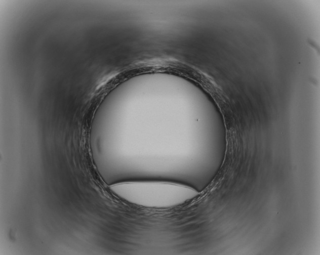 X0000097891158200803140958