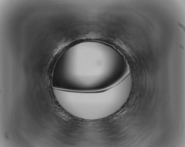 X0000097891160200803140958