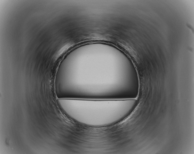 X0000097891163200803140958