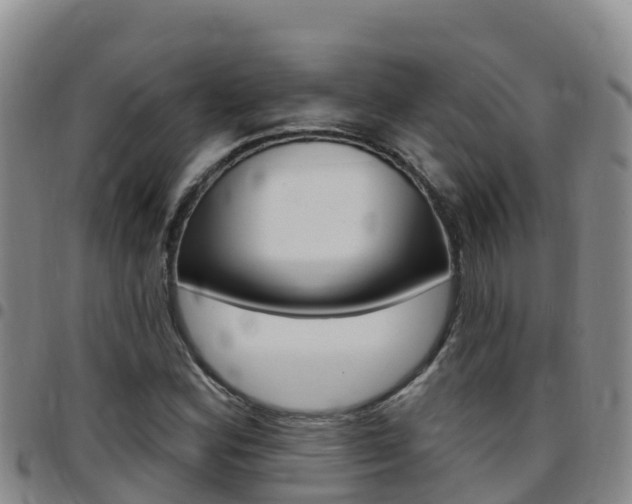 X0000097891164200803140958