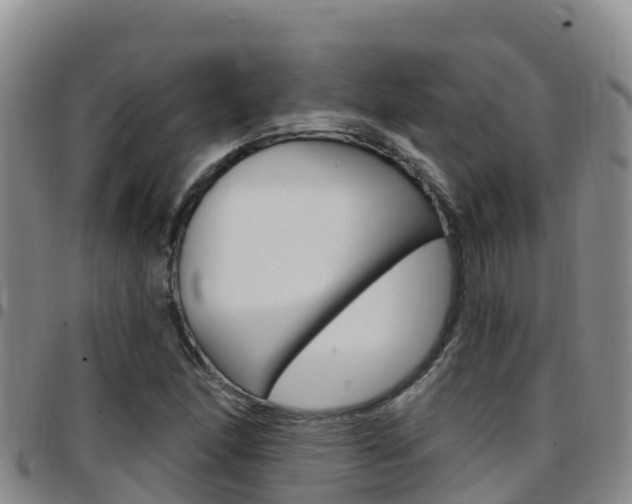 X0000097891166200803140958