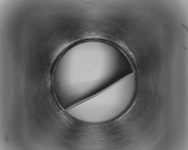 X0000097891167200803140958
