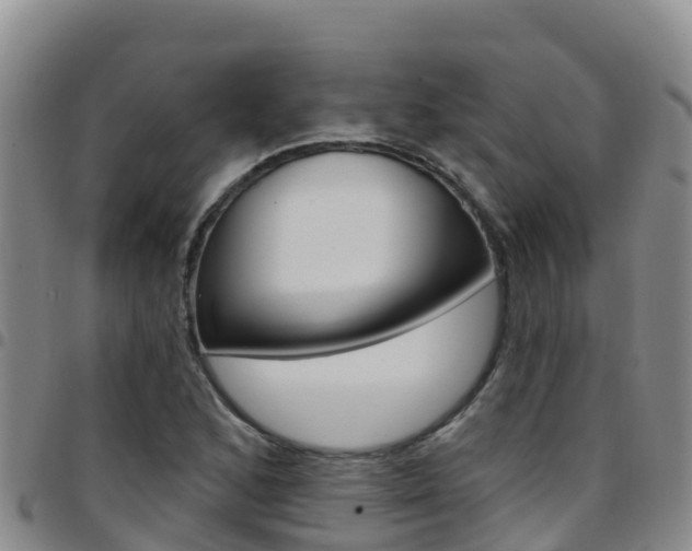 X0000097891168200803140958