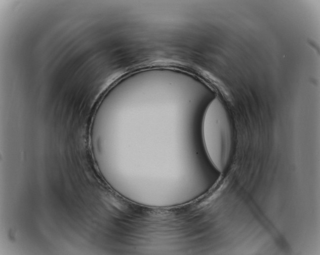X0000097891170200803140958