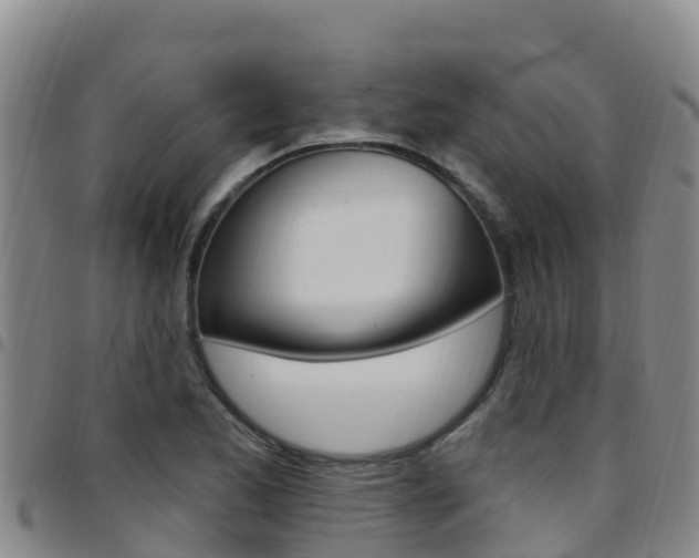 X0000097891173200803140958