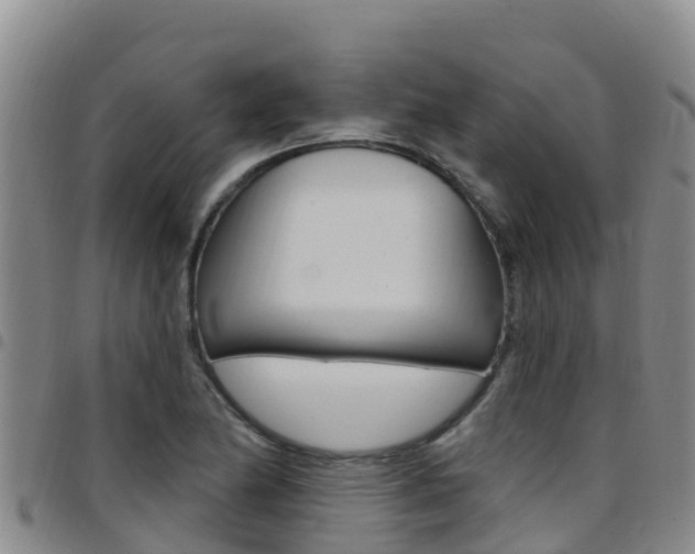 X0000097891174200803140958