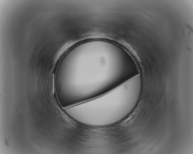 X0000097891175200803140958