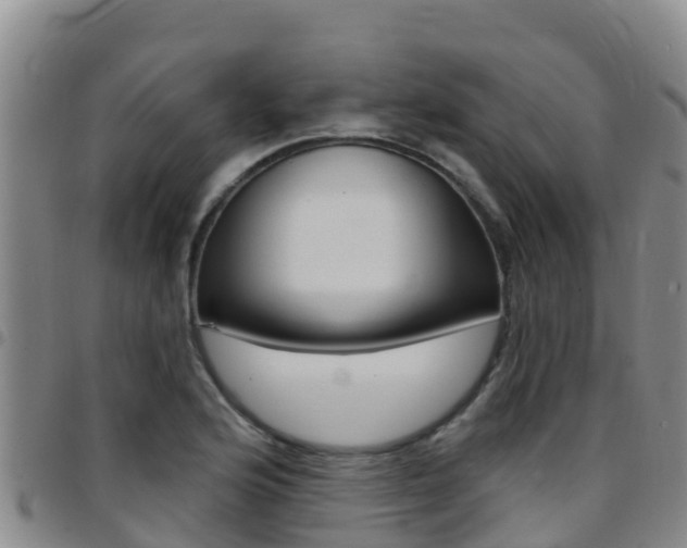 X0000097891176200803140958