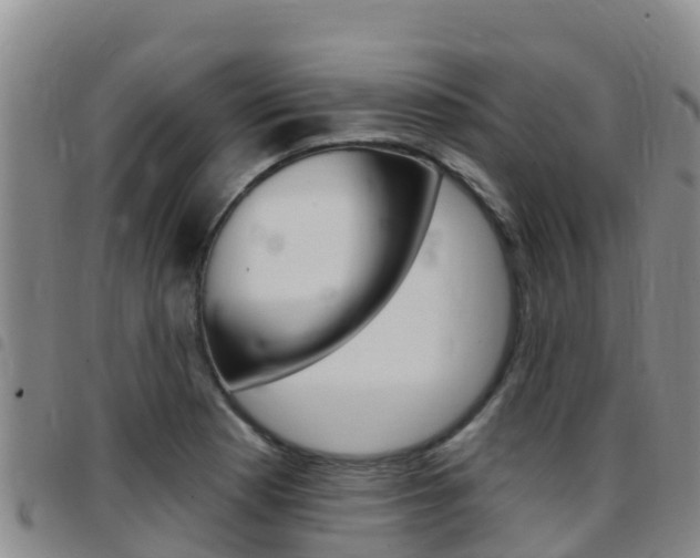 X0000097891177200803140958