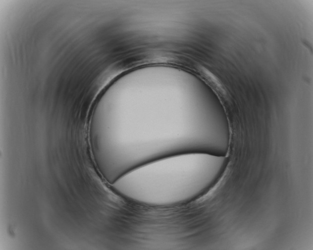 X0000097891178200803140958