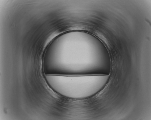 X0000097891179200803140958