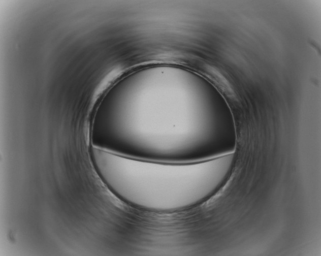 X0000097891180200803140958