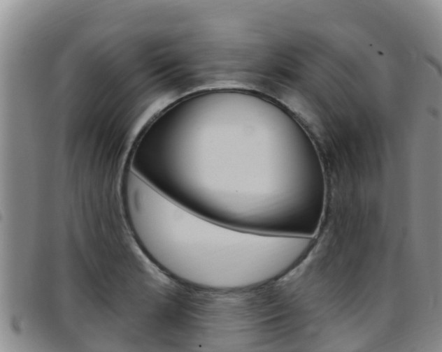X0000097891181200803140958