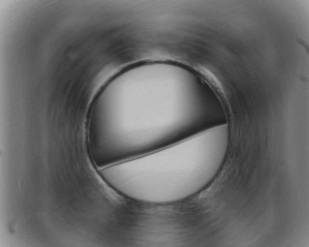 X0000097891183200803140958