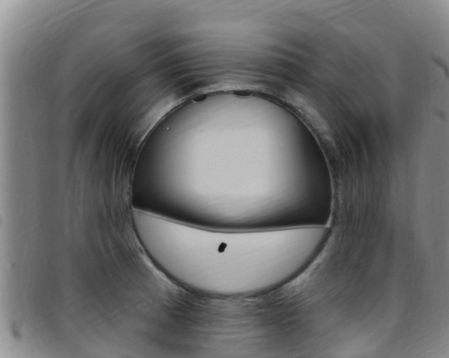 X0000097891185200803140958